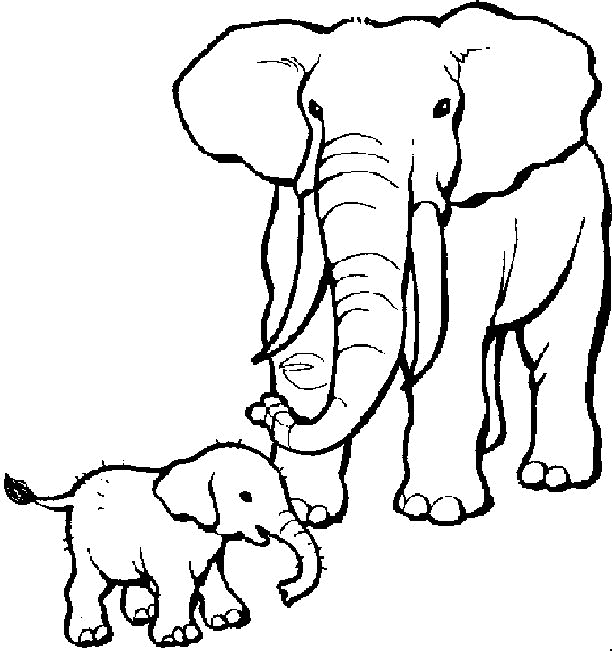 ausmalbilder elefant