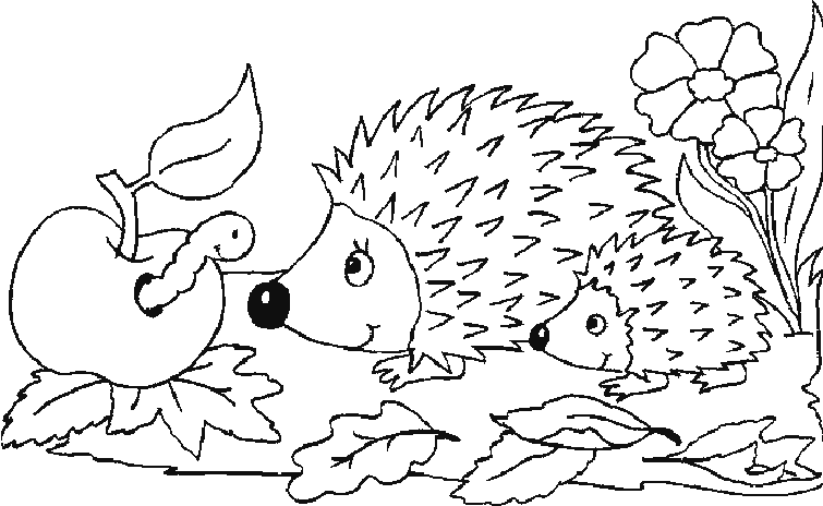 ausmalbilder igel