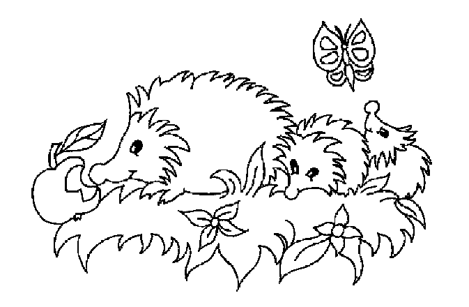 ausmalbilder igel