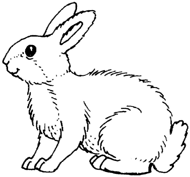 rabbit coloring pages for kindergarten kids - photo #4