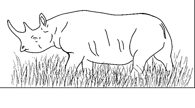 Realistic Rhino Coloring Pages Realistic Rhino Coloring Pages