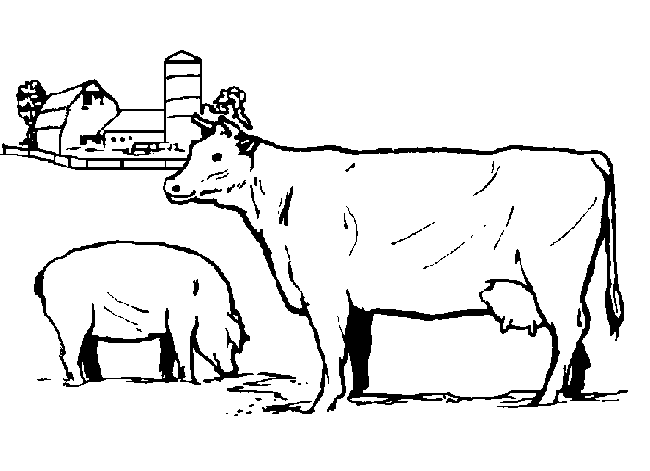 a4 size coloring pages of farm animals - photo #11
