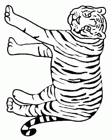 ausmalbilder tiger  ausmalbilder