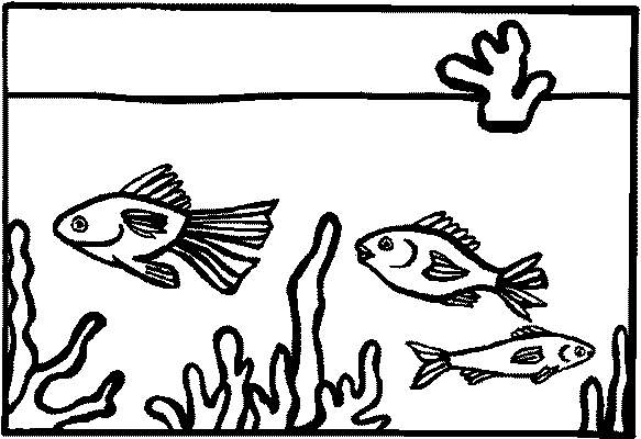 Aquarium Malvorlagen