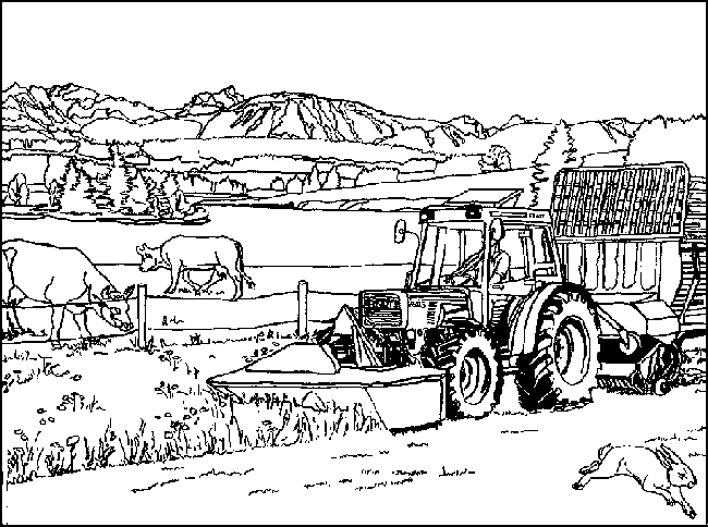Bauernhof Malvorlagen