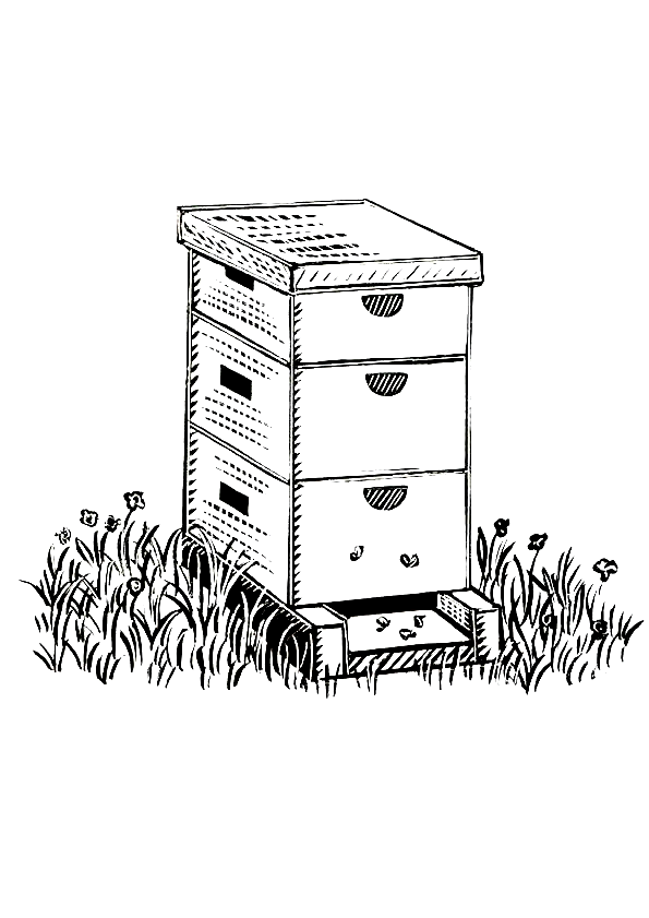 Bienen Malvorlagen