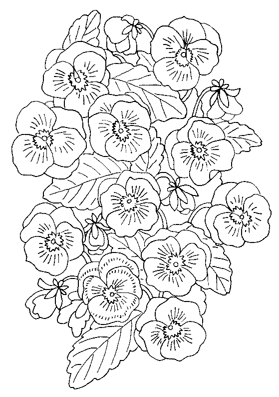Blumen Malvorlagen