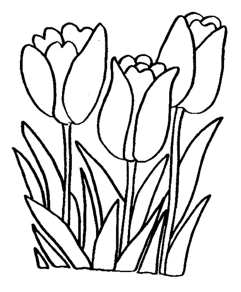 Blumen Malvorlagen