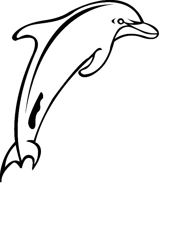 Delphin Malvorlagen