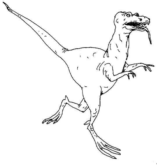 Dinosaurier Malvorlagen