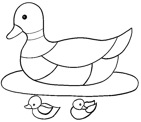 Enten Malvorlagen