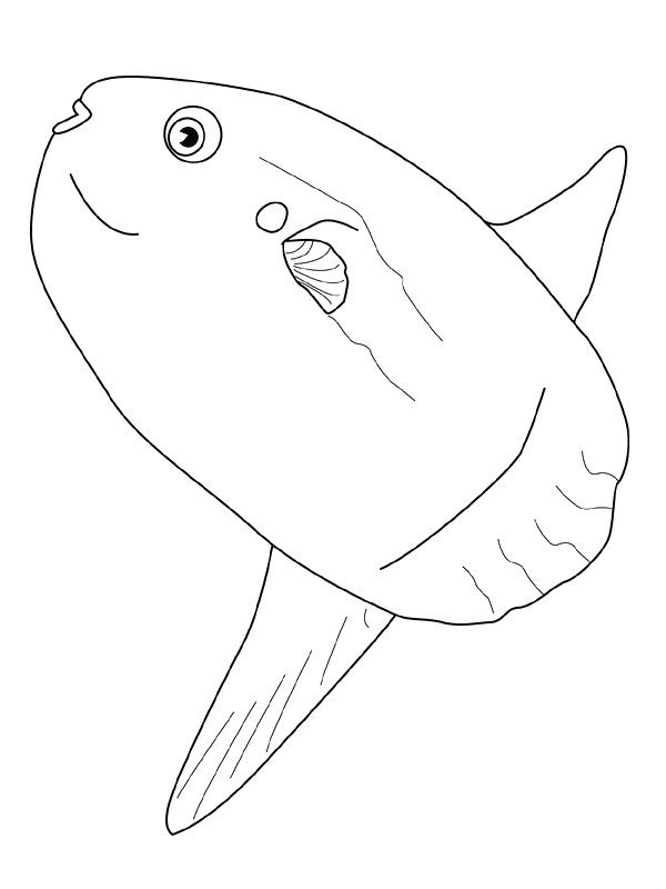 Fisch Malvorlagen