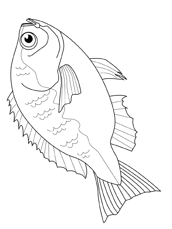 Fisch Malvorlagen