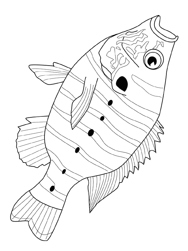 Fisch Malvorlagen