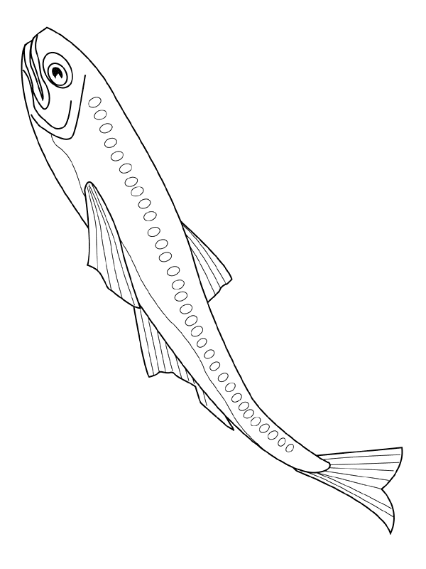 Fisch Malvorlagen