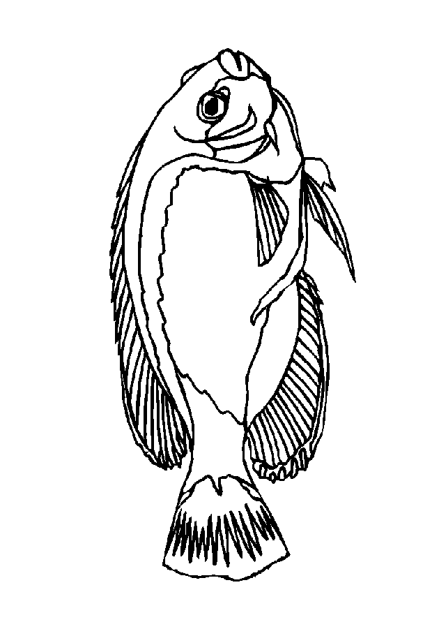 Fisch Malvorlagen