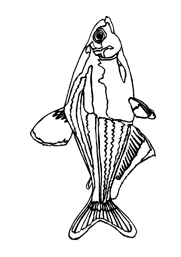 Fisch Malvorlagen