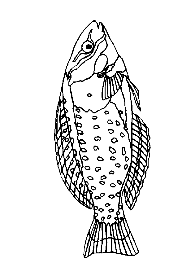 Fisch Malvorlagen