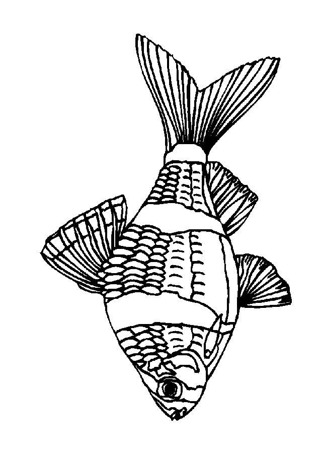 Fisch Malvorlagen