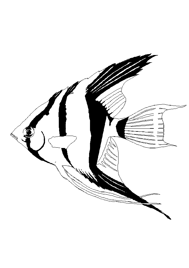 Fisch Malvorlagen