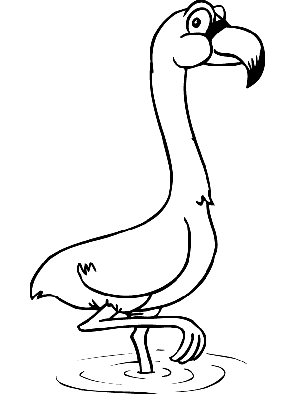 Flamingo Malvorlagen