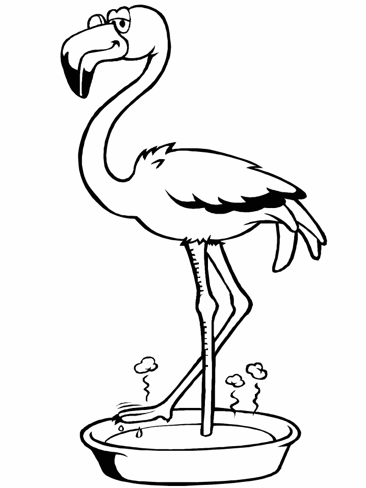 Flamingo Malvorlagen