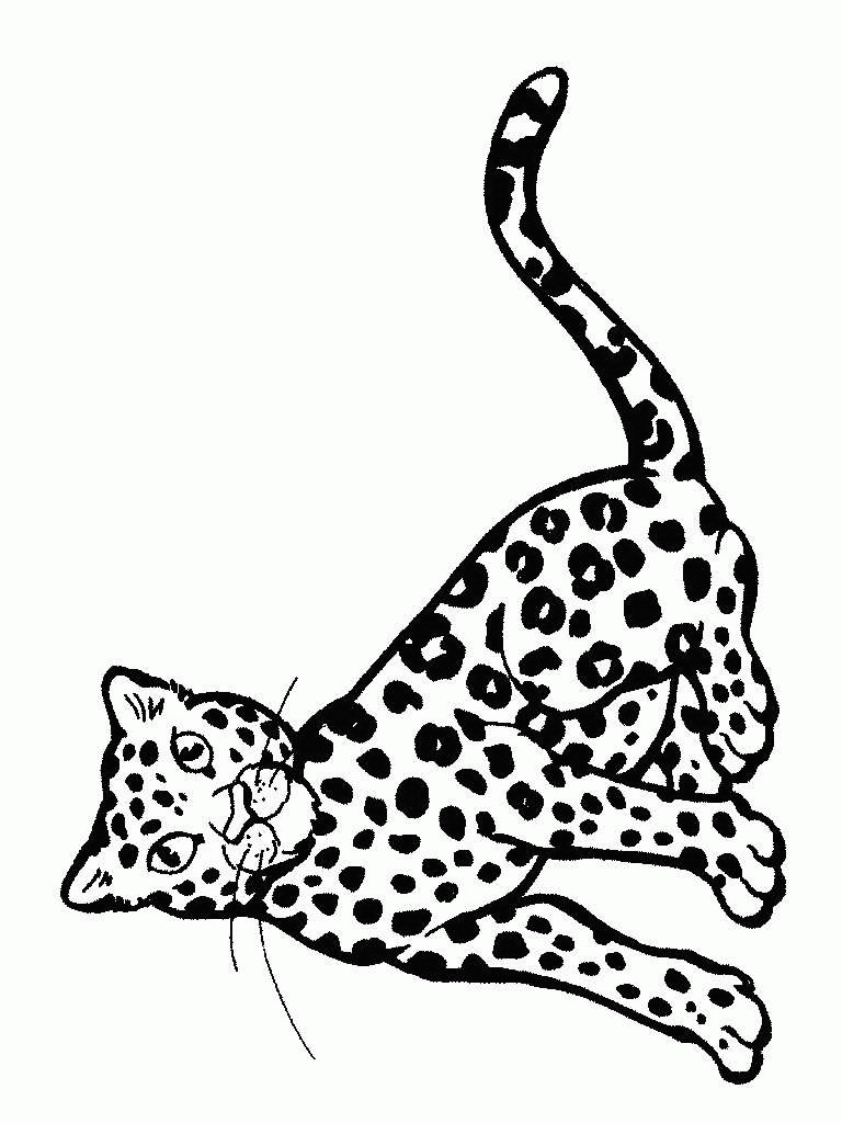 Gepard Malvorlagen