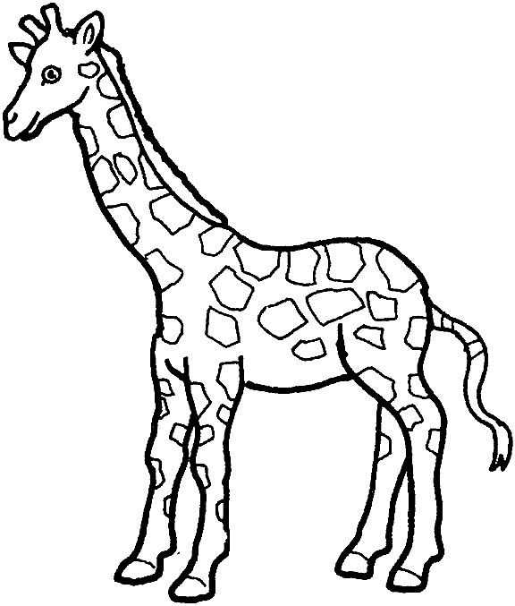 Giraffe Malvorlagen
