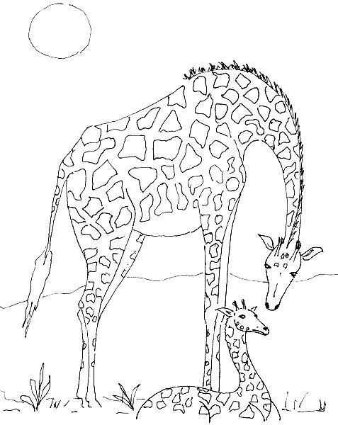 Giraffe Malvorlagen