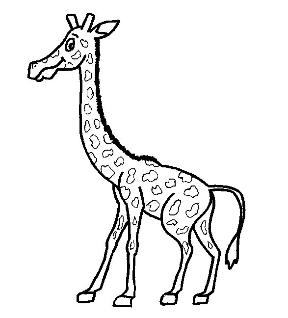 Giraffe Malvorlagen