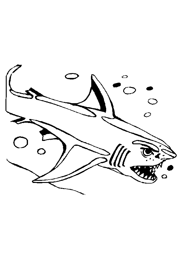 Haie Malvorlagen