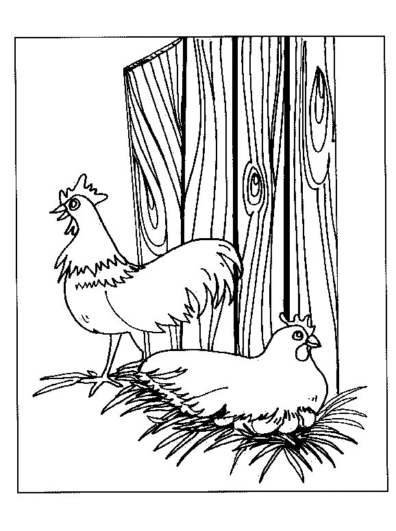 Huhn Malvorlagen