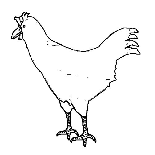 Huhn Malvorlagen