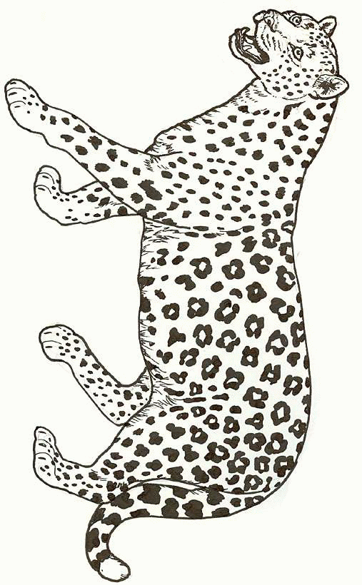 Jagdleopard Malvorlagen