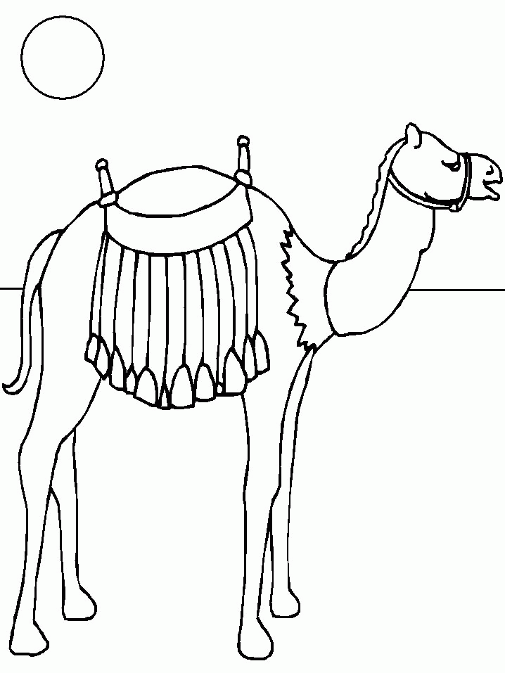 Kamel Malvorlagen