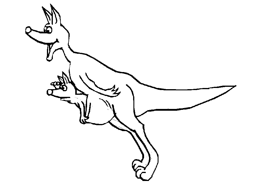 Kanguru Malvorlagen