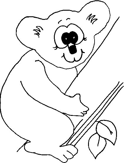 Koala Malvorlagen