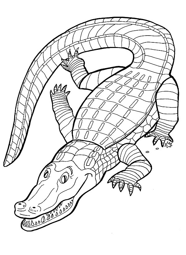 Krokodile Malvorlagen