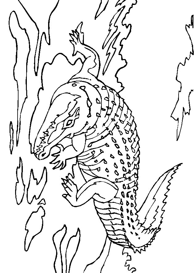 Krokodile Malvorlagen