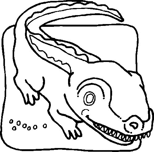 Krokodile Malvorlagen