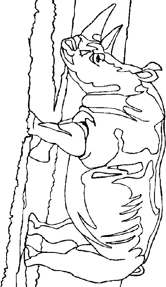 Nashorn Malvorlagen