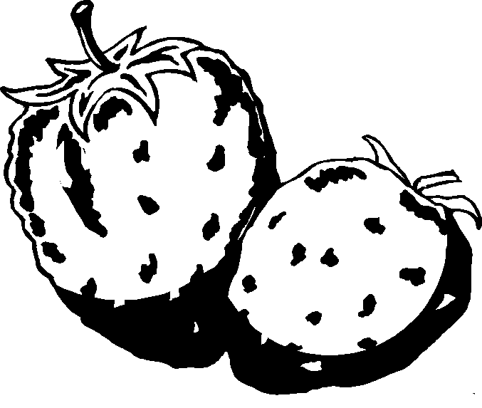 Obst und gemuse Malvorlagen