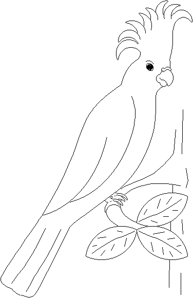 Papagaai Malvorlagen