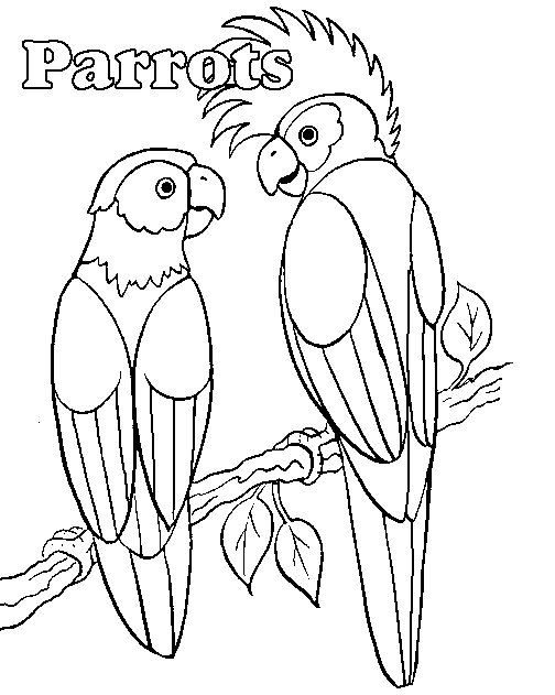 Papagei Malvorlagen