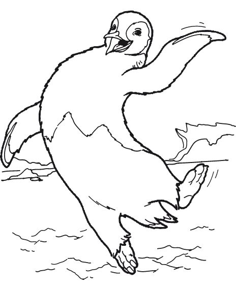 Pinguin Malvorlagen