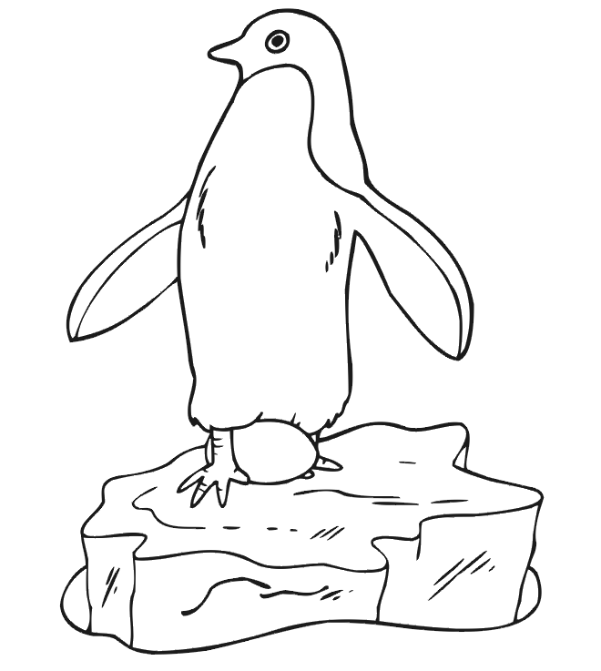 Pinguin Malvorlagen