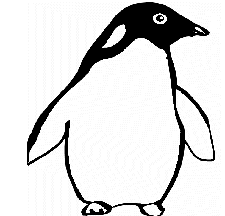 Pinguin Malvorlagen