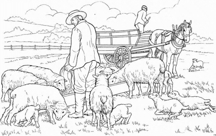 Schafe Malvorlagen