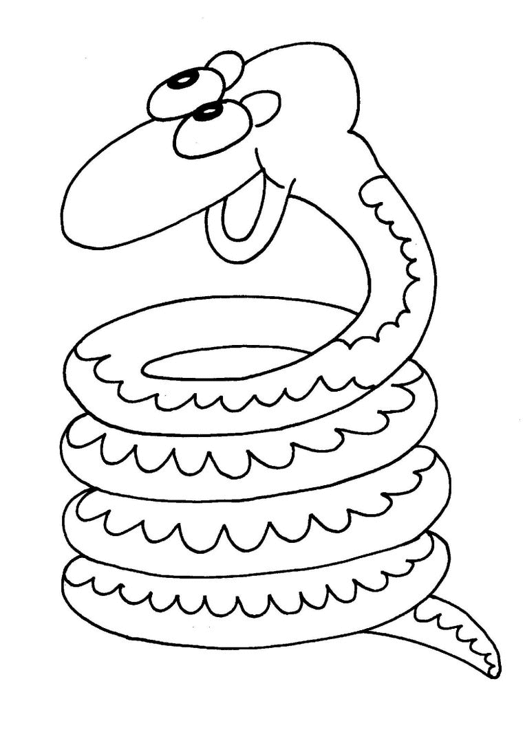 Schlangen Malvorlagen