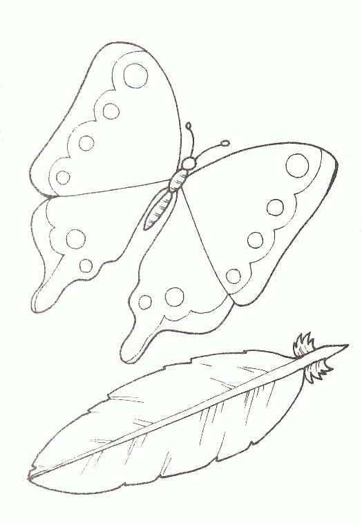 Schmetterling Malvorlagen